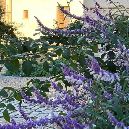 Casa Del Armino Mansion De La Familia De 