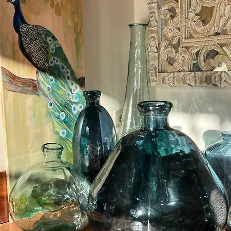 Casa Del Armino Mansion De La Familia De 