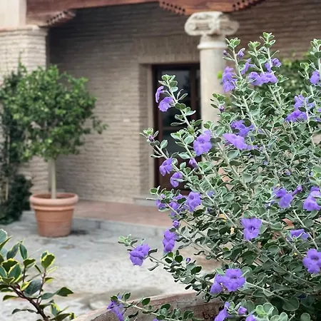 Casa Del Armino Mansion De La Familia De 